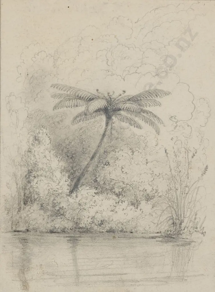 William Swainson (1789 - 1855) - Fern Opposite Hawkshead Image 1++