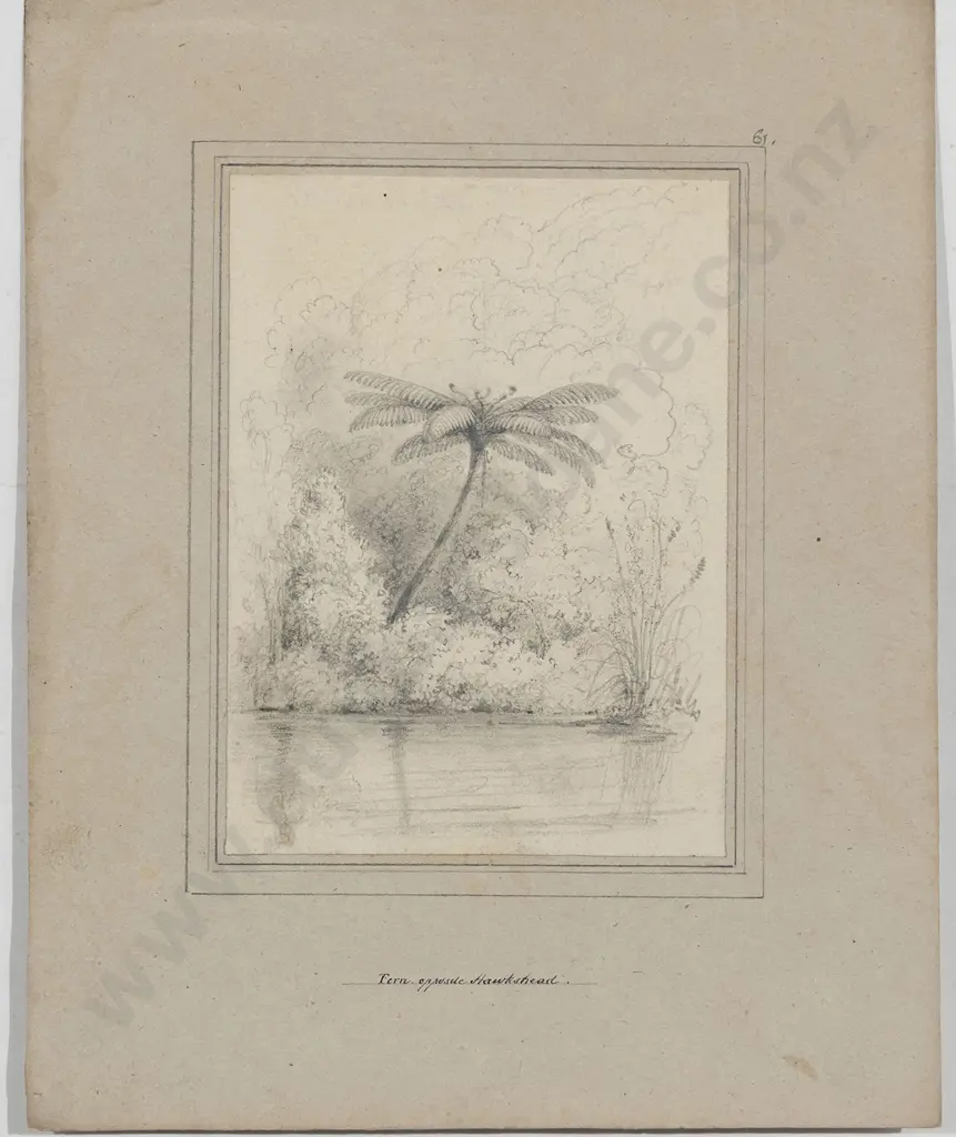 William Swainson (1789 - 1855) - Fern Opposite Hawkshead Image 1++