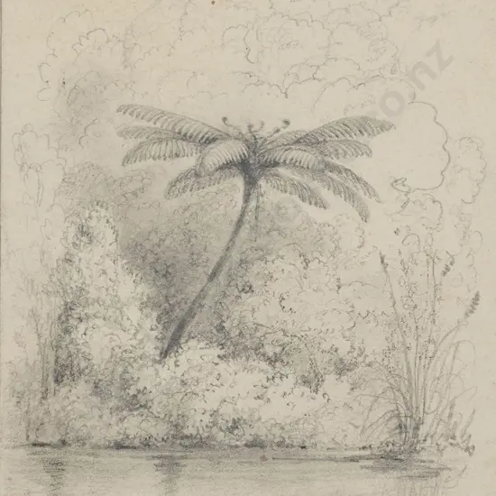 William Swainson (1789 - 1855) - Fern Opposite Hawkshead