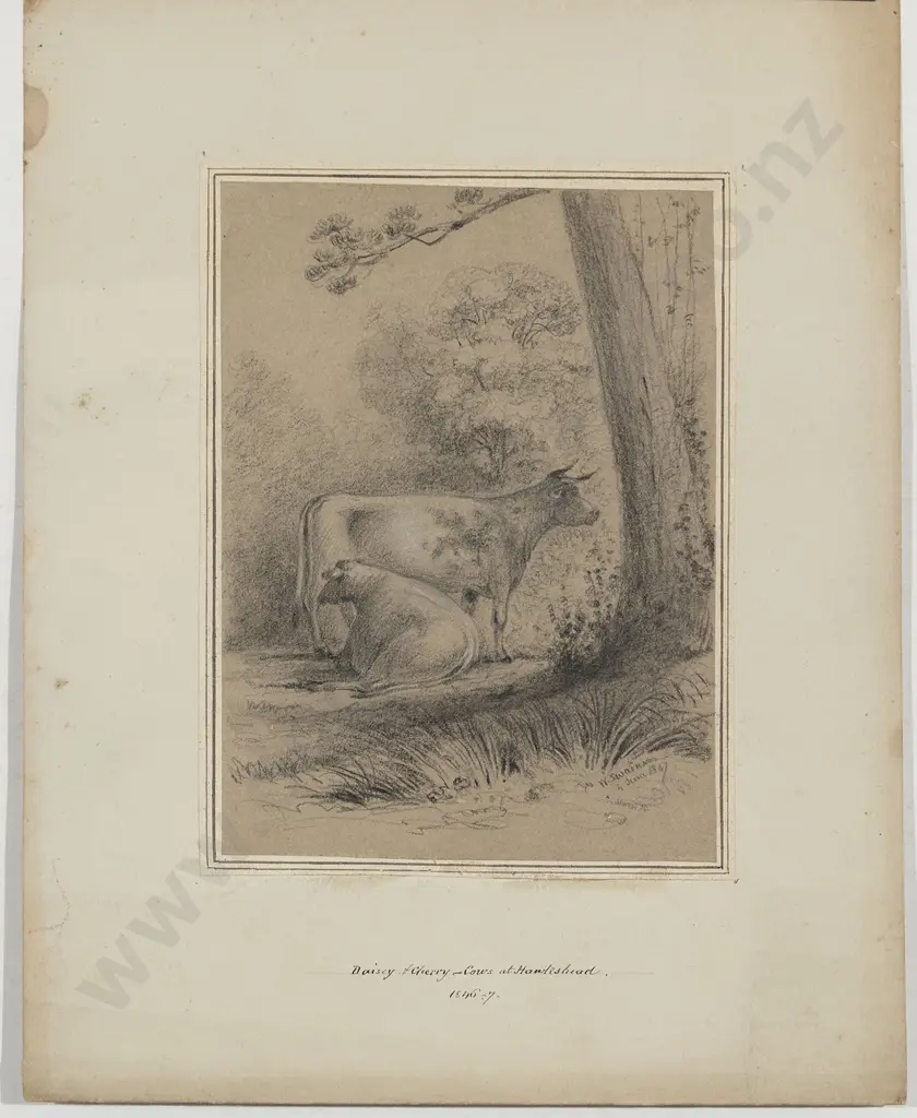 William Swainson (1789 - 1855) - Daisy & Cherry Image 1++