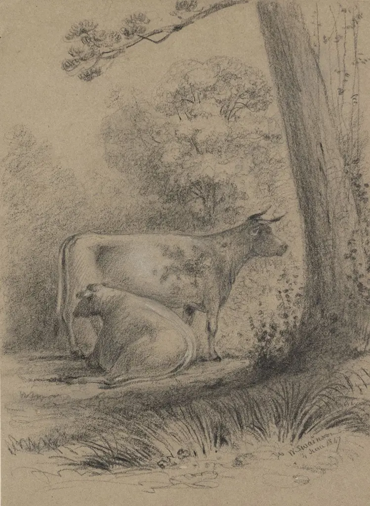 William Swainson (1789 - 1855) - Daisy & Cherry Image 1++