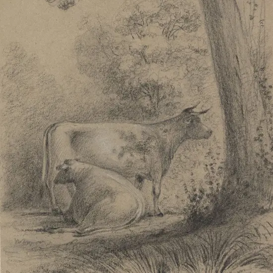 William Swainson (1789 - 1855) - Daisy & Cherry