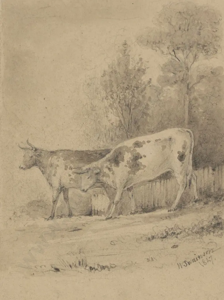 William Swainson (1789 - 1855) - Lady & Daisy Image 1++