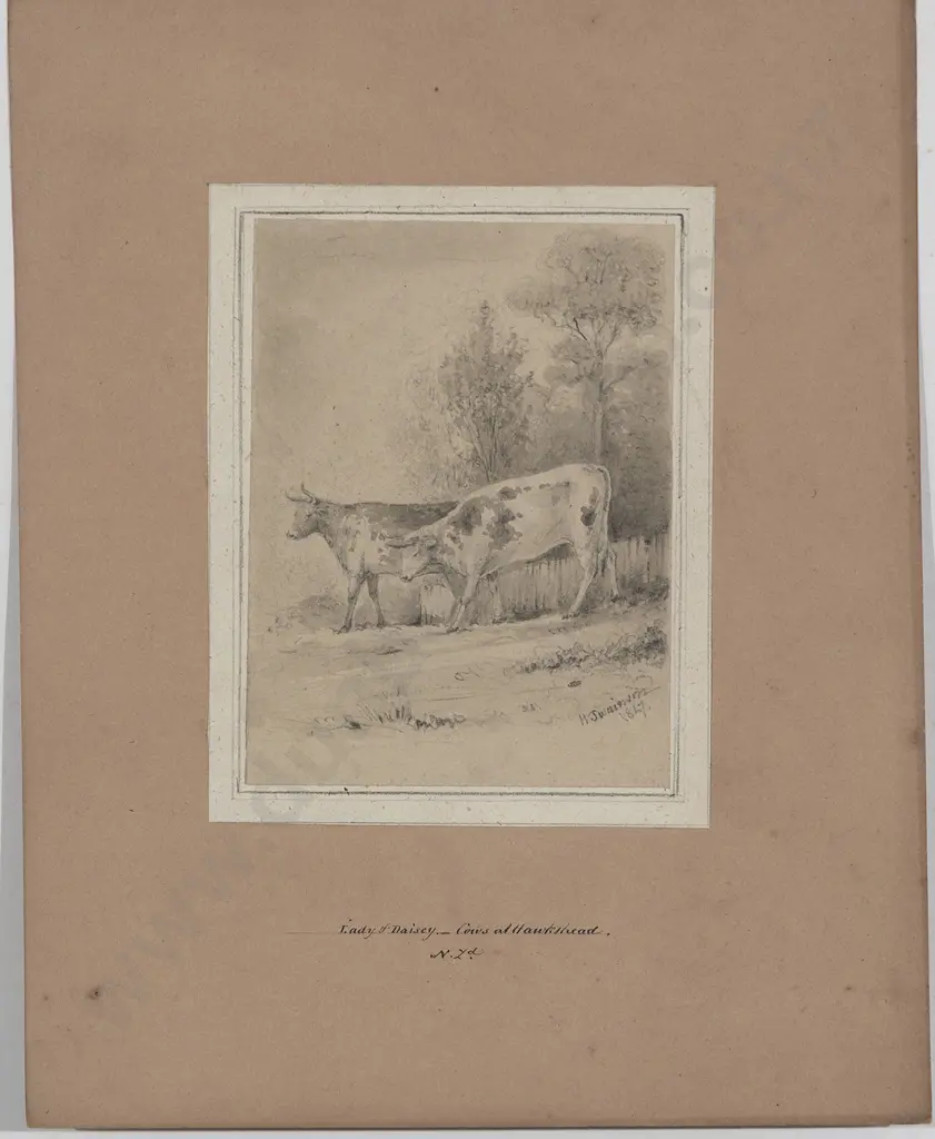 William Swainson (1789 - 1855) - Lady & Daisy Image 1++