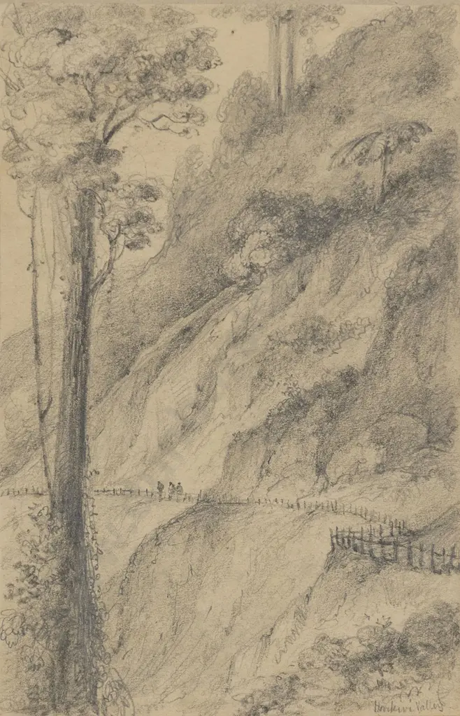 William Swainson (1789 - 1855) - Road Through the Horikiwi Valley Image 1++