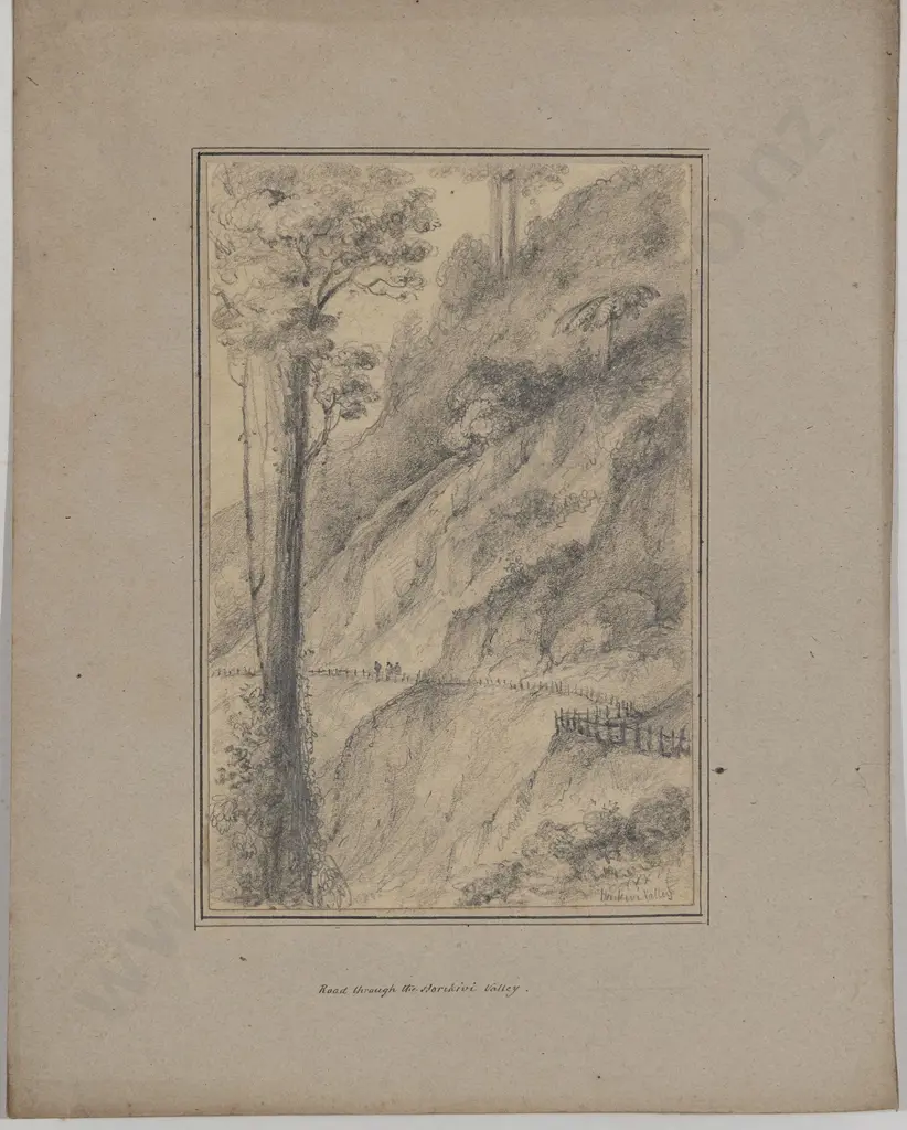 William Swainson (1789 - 1855) - Road Through the Horikiwi Valley Image 1++