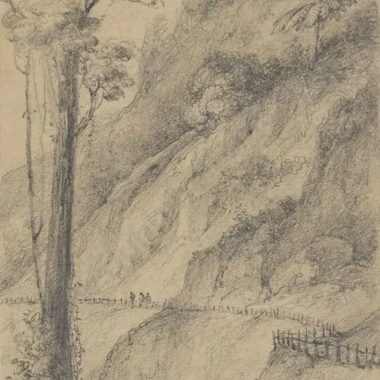 William Swainson (1789 - 1855) - Road Through the Horikiwi Valley