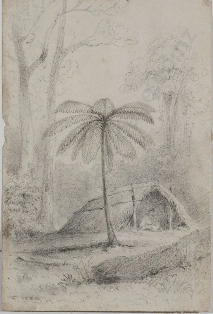 William Swainson (1789 - 1855) - Untitled Image 1++