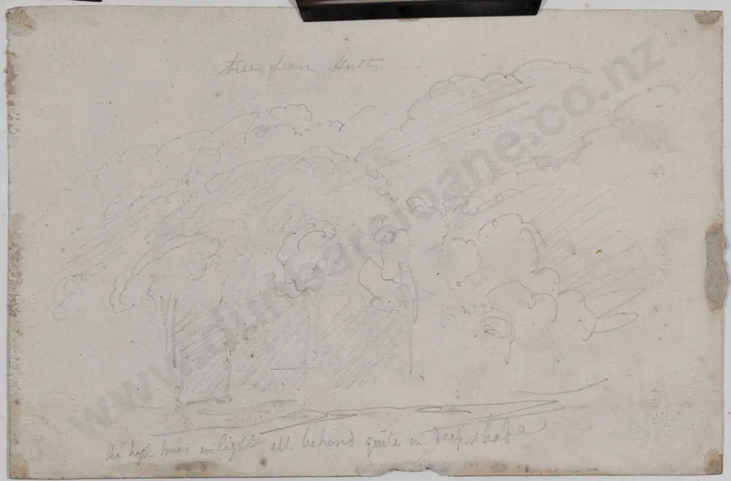William Swainson (1789 - 1855) - Untitled Image 1++