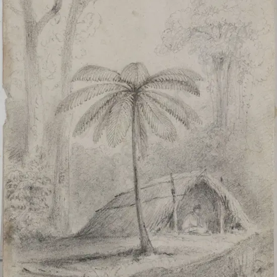 William Swainson (1789 - 1855) - Untitled