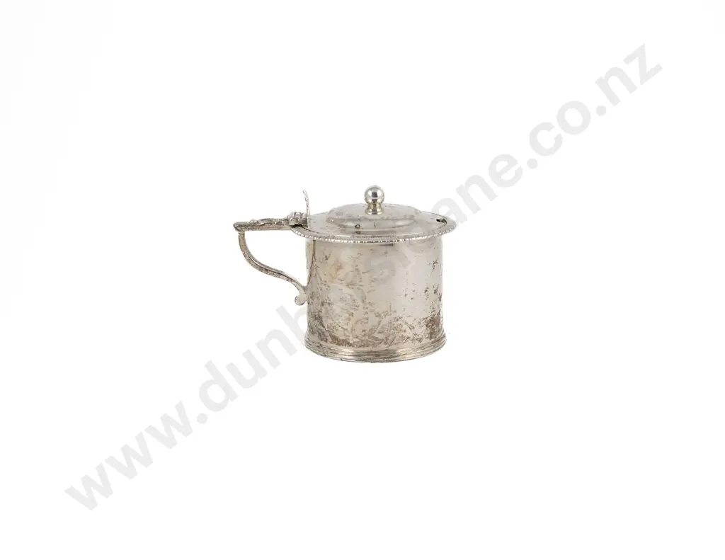 Geo IV S/S Mustard Pot Image 1++