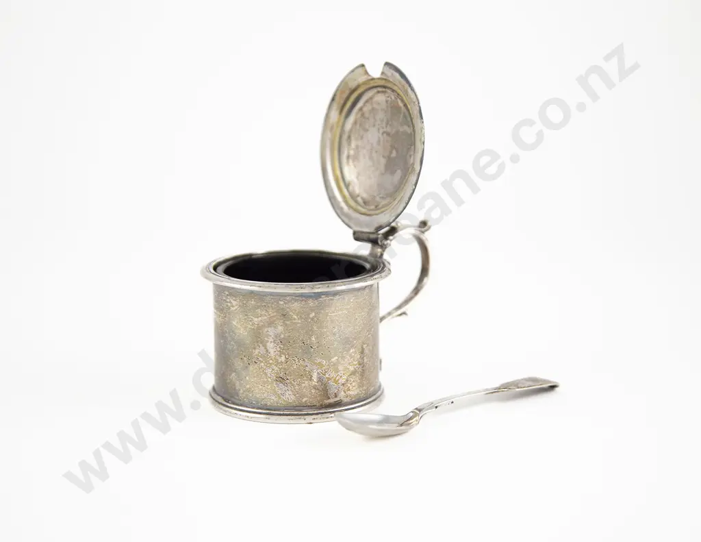 Wm IV S/S Mustard Pot Image 1++