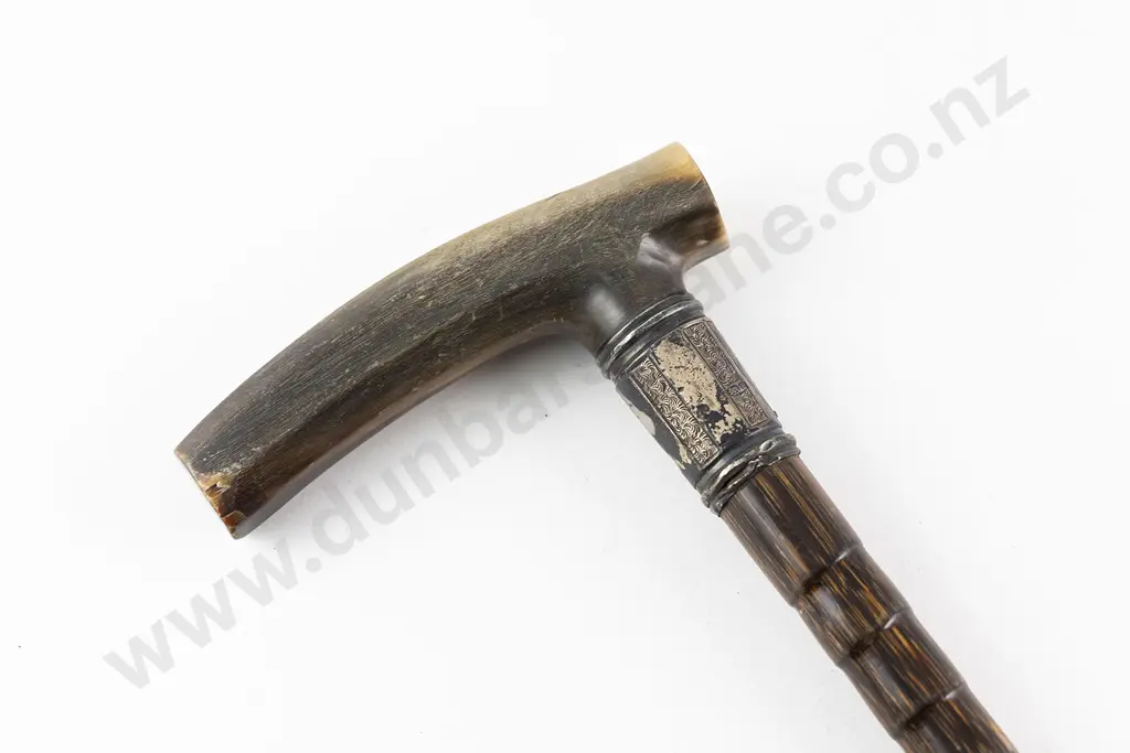 Victorian Walking Stick Image 1++