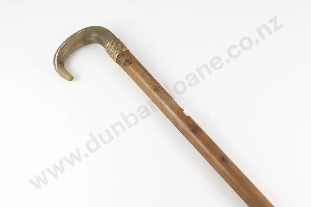 Victorian Walking Stick Image 1++