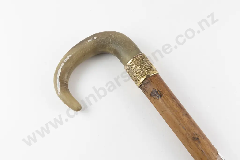 Victorian Walking Stick Image 1++
