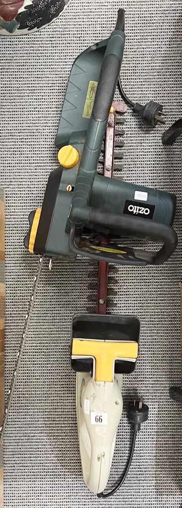 Ozito Chainsaw and Ryobi Hedge Trimmer Image 1++