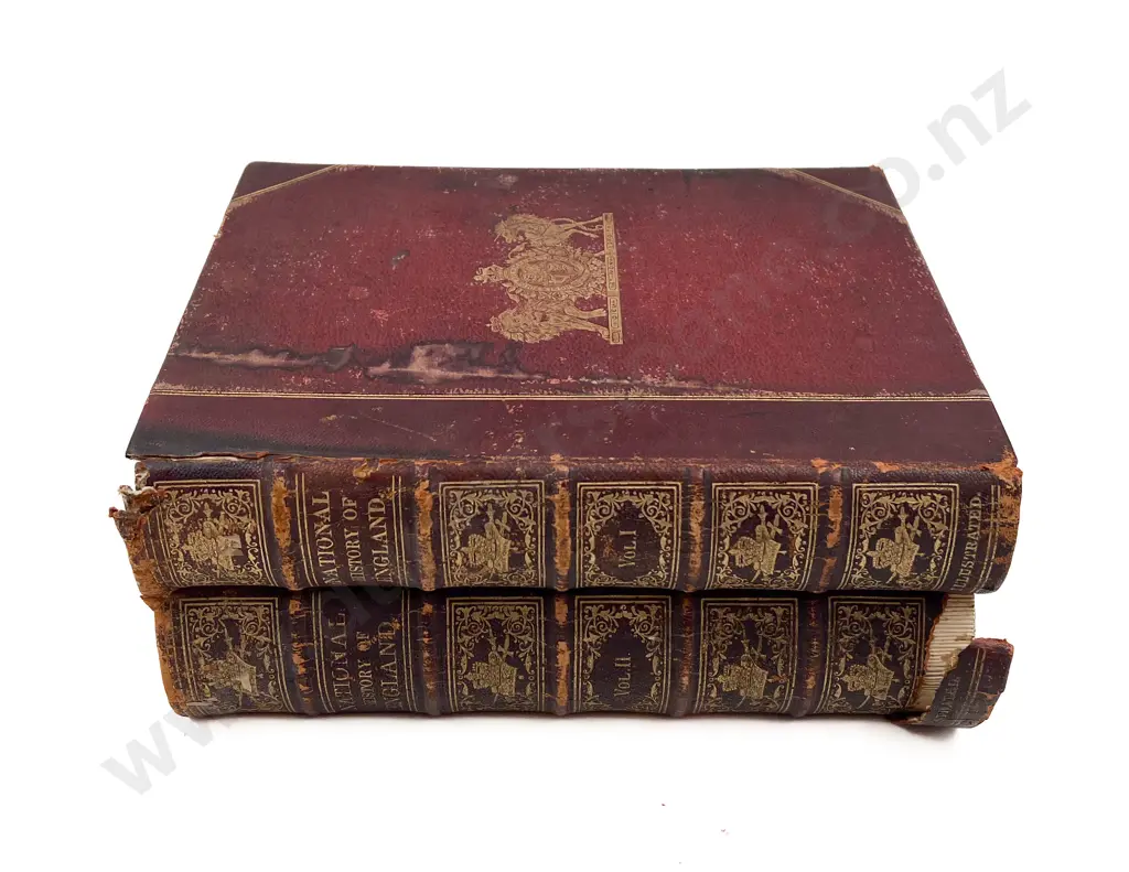 Two Volumes of the National History of England Image 1++