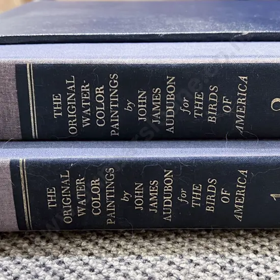 Volume I & II of The Birds of America by J. J. Audubon