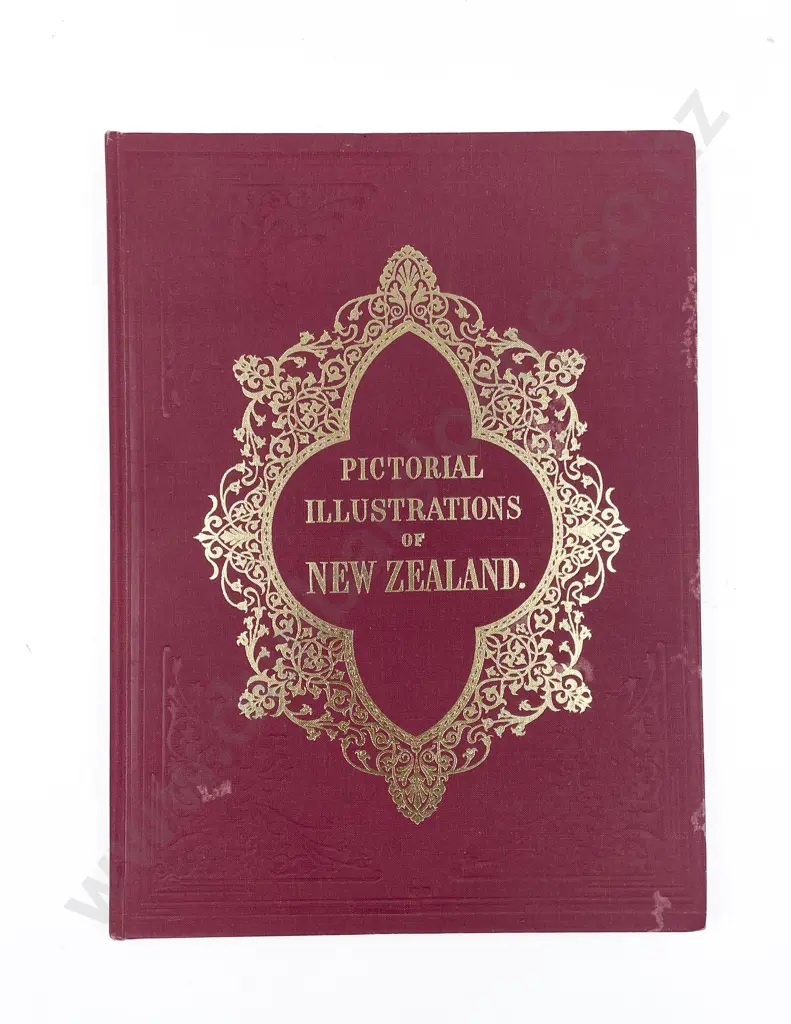 Pictorial Illustrations of NZ By S. C. Breeze Image 1++