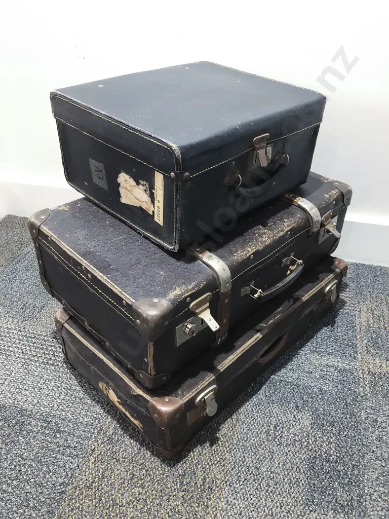 Two Vintage Suitcases with Travel Case Image 1++
