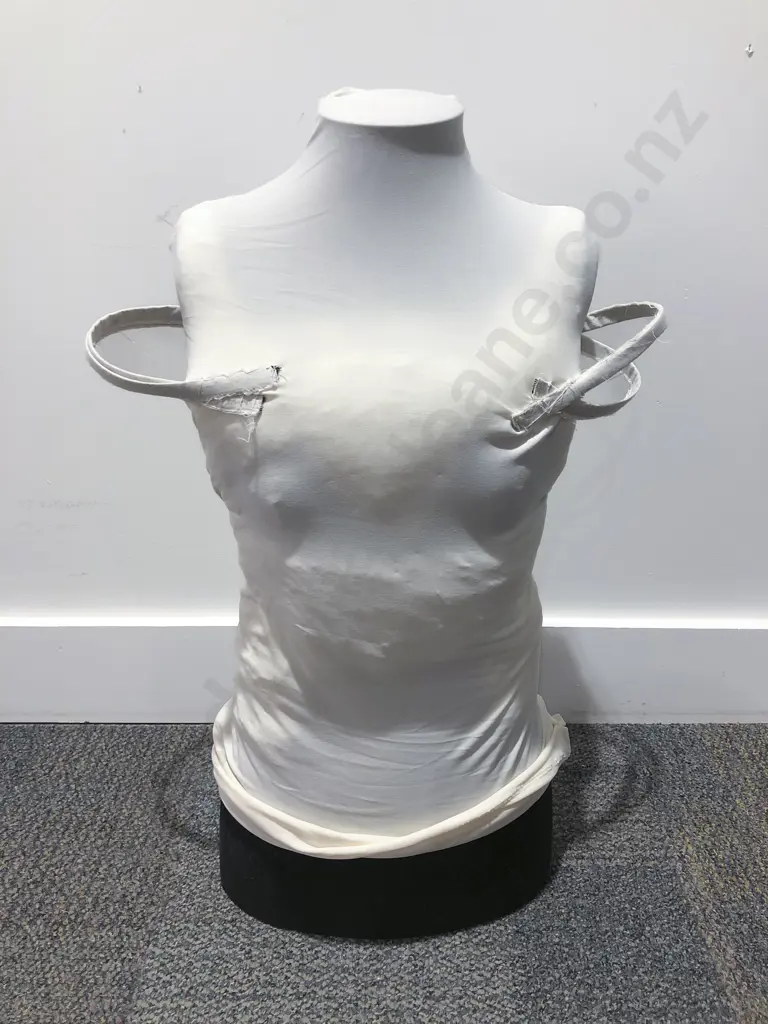 Dressmakers Half Mannequin Image 1++