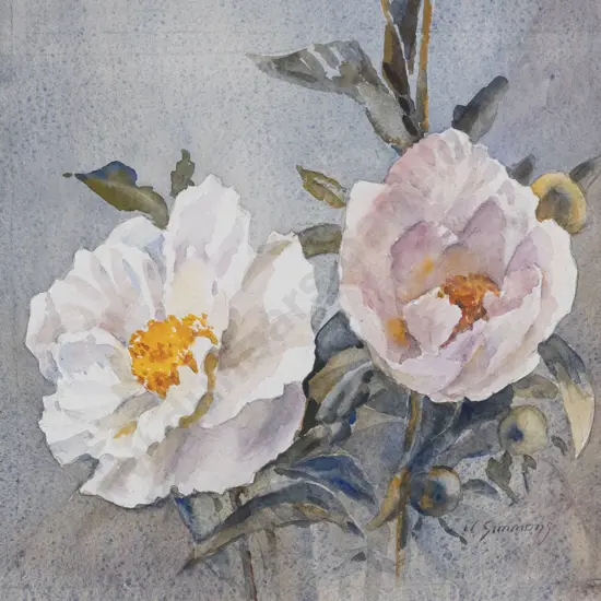 Joy Simmons - Peonies