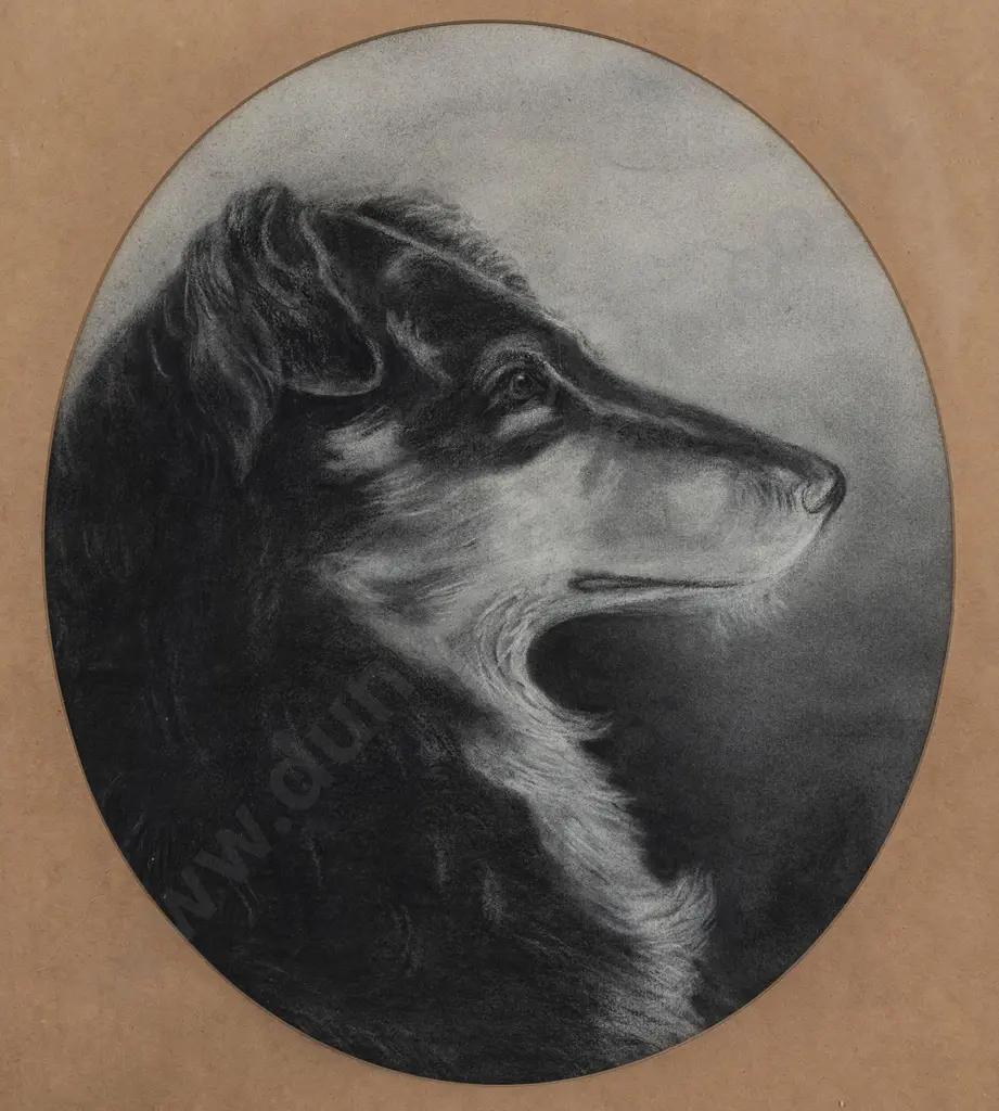 Alice Spratt - Collie Image 1++
