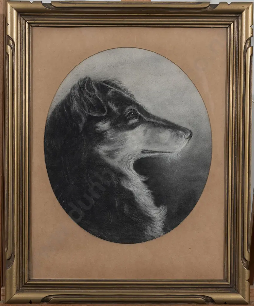 Alice Spratt - Collie Image 1++