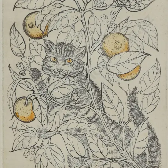 Eloise Atkins - The Cat in the Orange Tree
