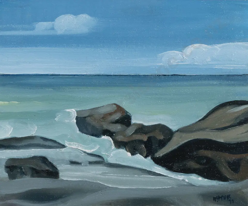 Henryk Struyk - Coastal Landscape Image 1++