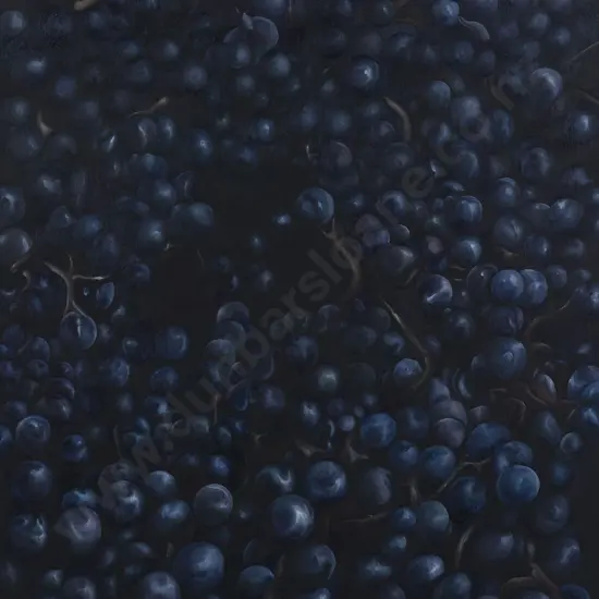 Nici Scotland - Grapes