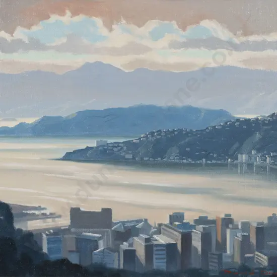 David Orange - Wellington Harbour