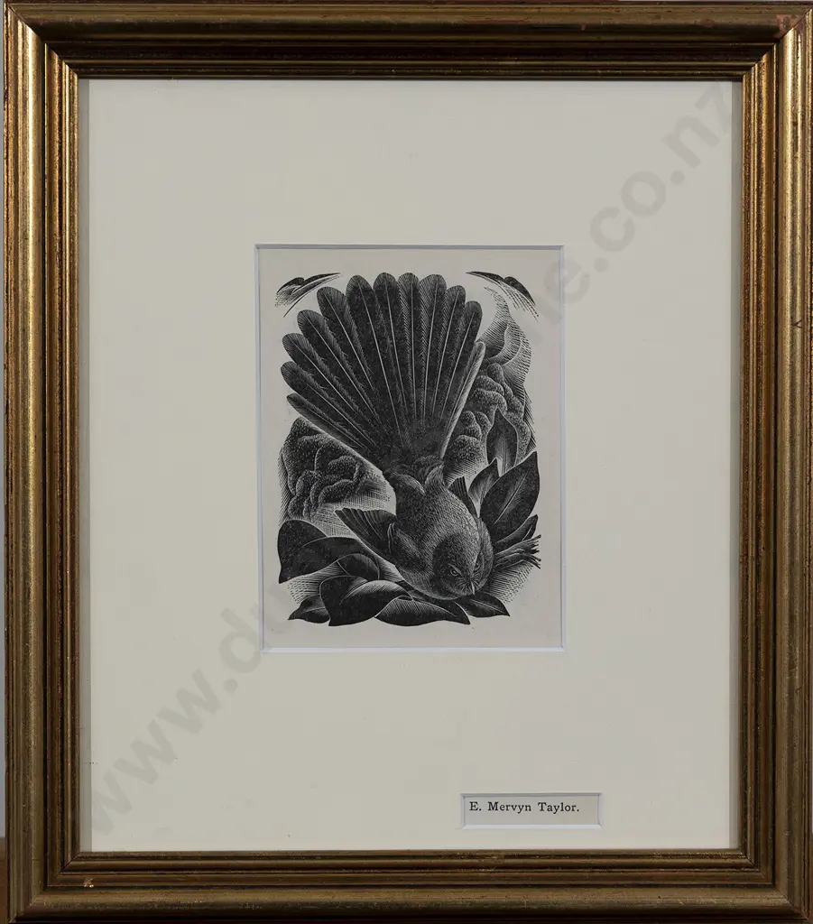 E Mervyn Taylor (1906 - 1964) - Fantail Image 1++