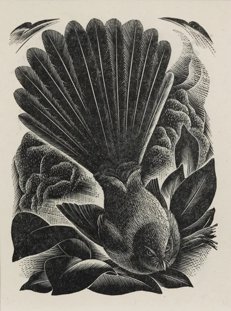 E Mervyn Taylor (1906 - 1964) - Fantail Image 1++
