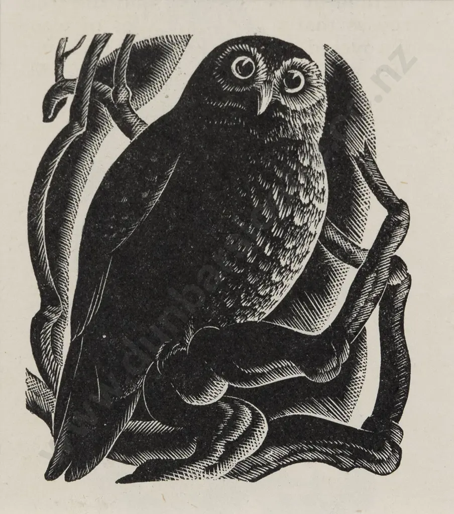 E Mervyn Taylor (1906 - 1964) - Morepork Image 1++