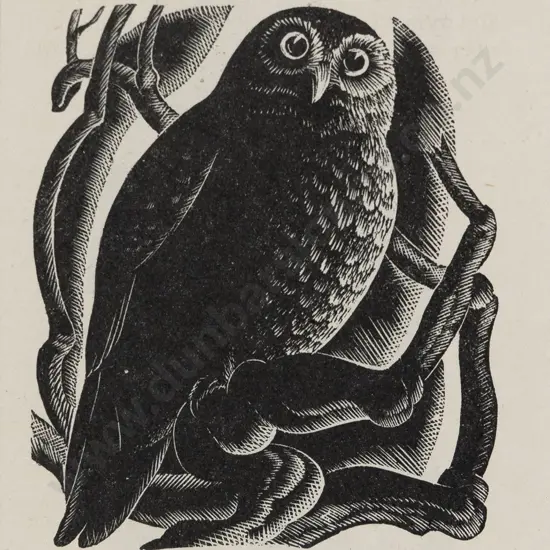 E Mervyn Taylor (1906 - 1964) - Morepork