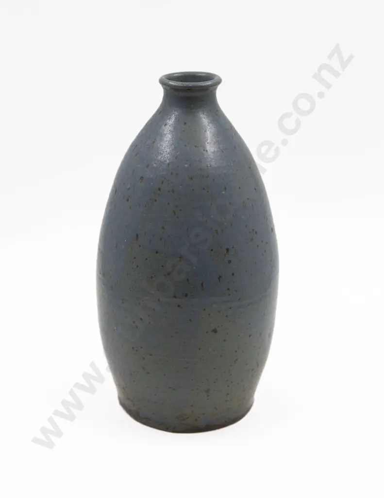 Bottle Vase Image 1++
