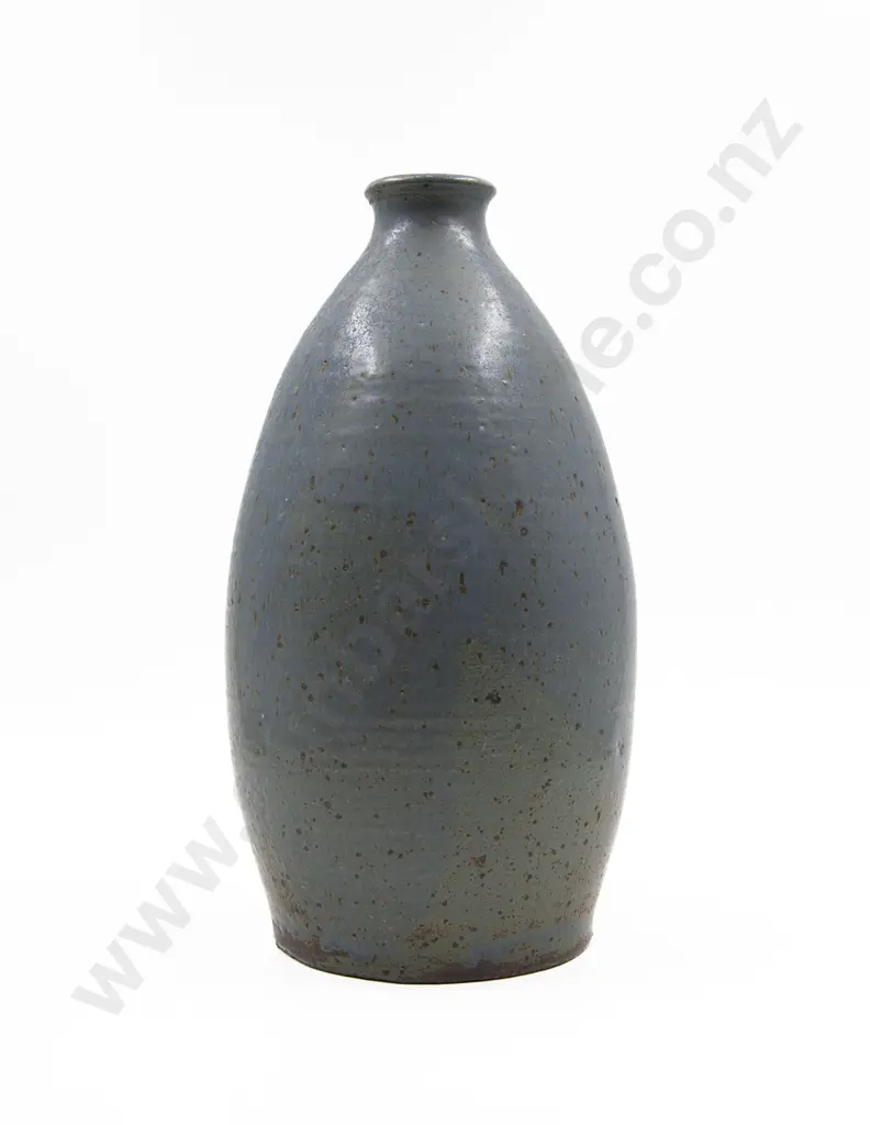 Bottle Vase Image 1++