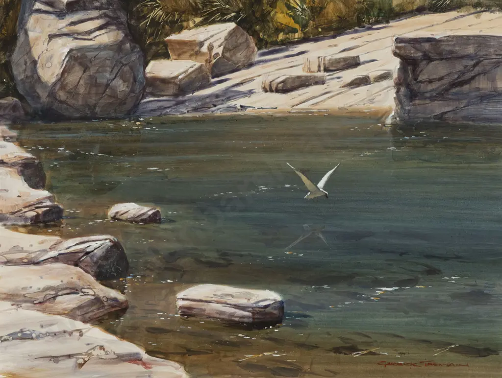 Garrick Tremain (b1941) - Tern Image 1++