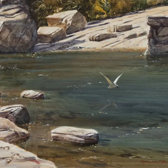 Garrick Tremain (b1941) - Tern