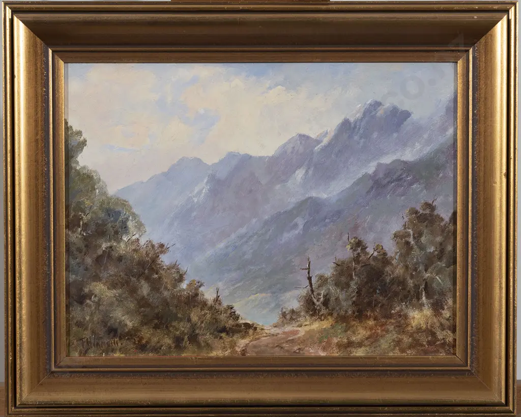 Francis Bianchi - Dusky Sound Otago & Richardson Range Image 1++