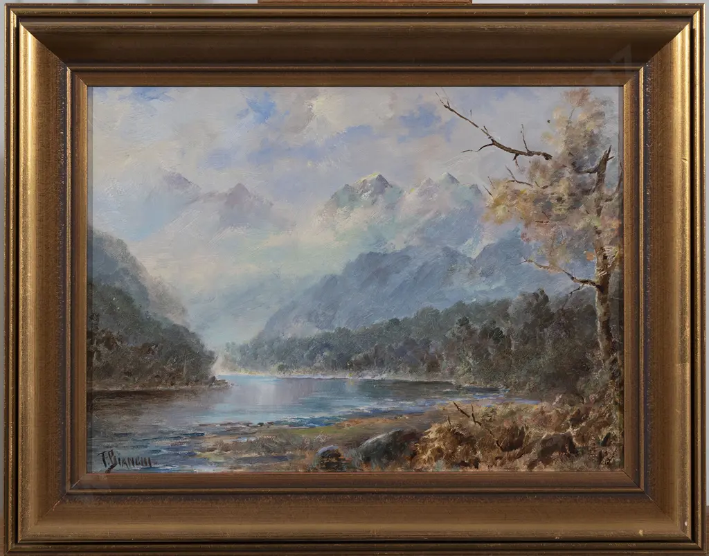 Francis Bianchi - Dusky Sound Otago & Richardson Range Image 1++
