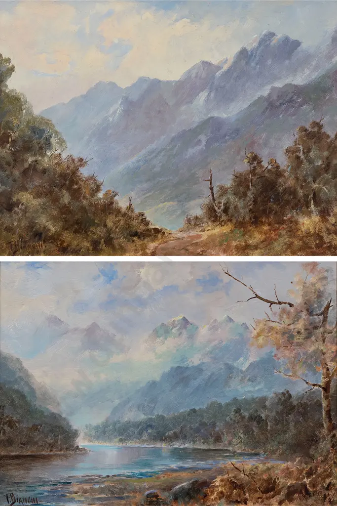 Francis Bianchi - Dusky Sound Otago & Richardson Range Image 1++