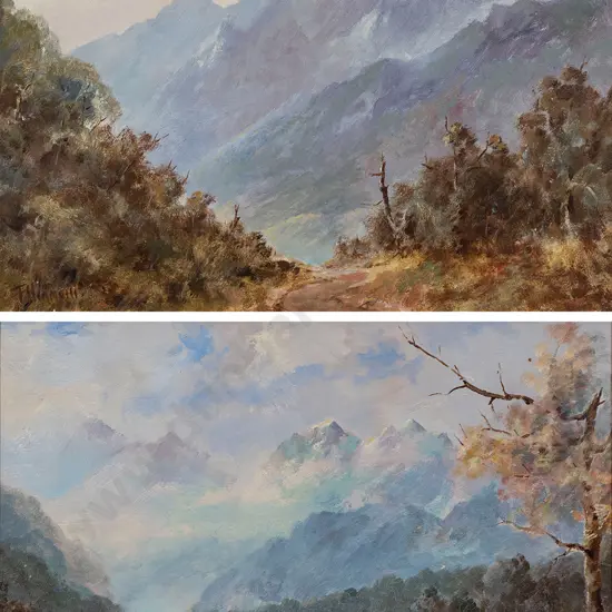 Francis Bianchi - Dusky Sound Otago & Richardson Range