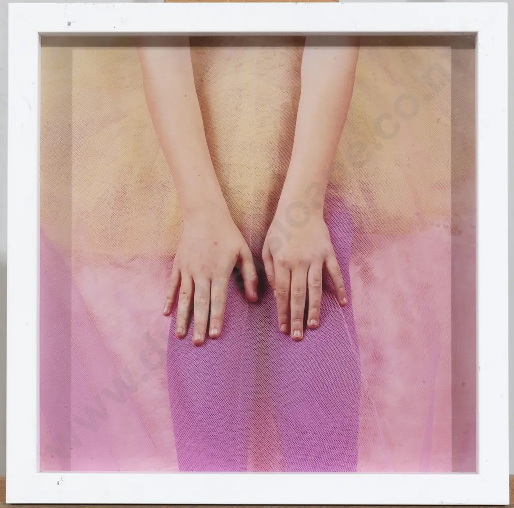Unknown Artist - Pair Photographs Image 1++