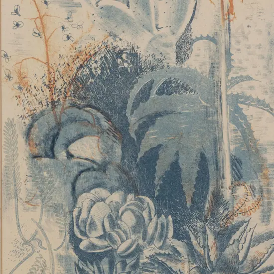 Stewart McLennan (1903-1973) - Succulents
