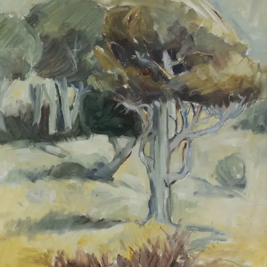 Simon - Tree Study