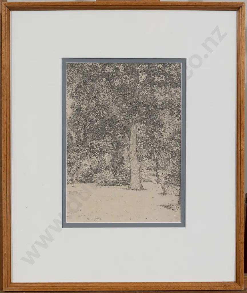 Owen R Lee (1918 - 2003) - Botanical Gardens Image 1++