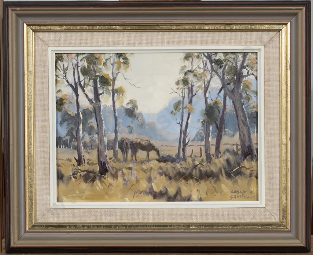 Leslie A Campbell - Among the Saplings Image 1++