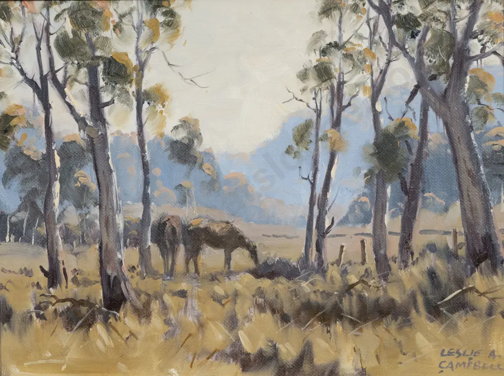Leslie A Campbell - Among the Saplings Image 1++